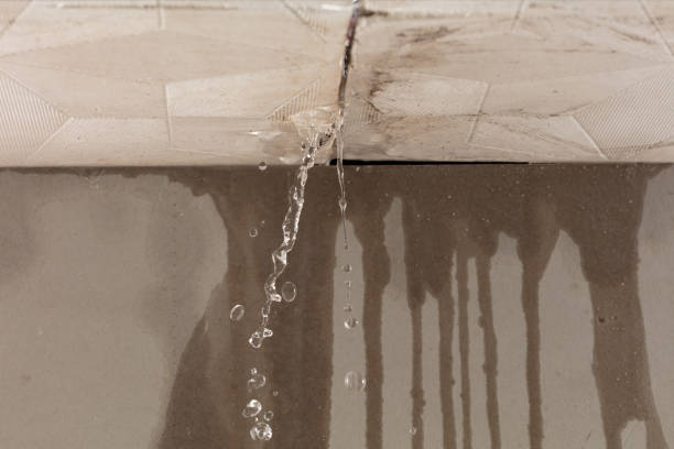 Professional Structural Drying technician working in Girard, KS